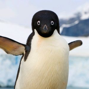 Meet your Posher, Mariya